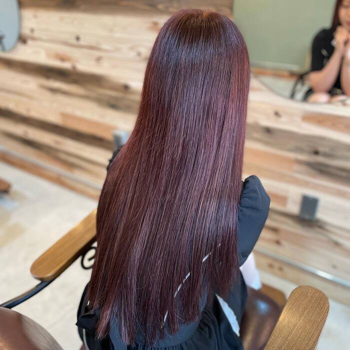画像1255