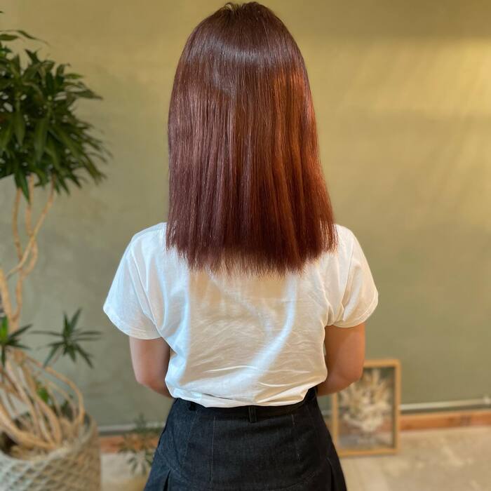 画像1378