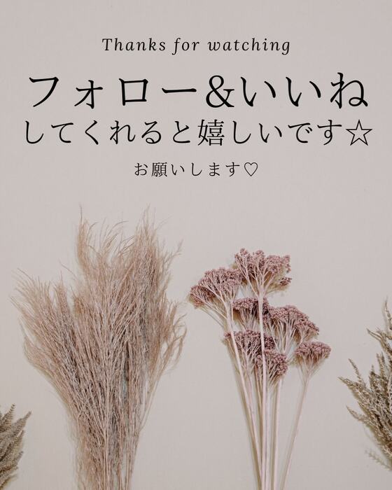 画像1570