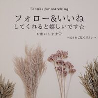 画像1596
