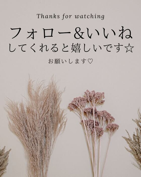 画像1670