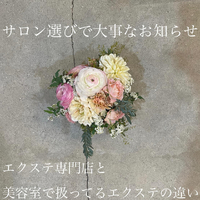 画像1981