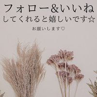 画像2036