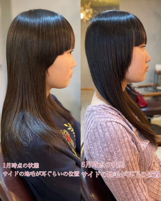 画像2528