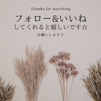 画像2538