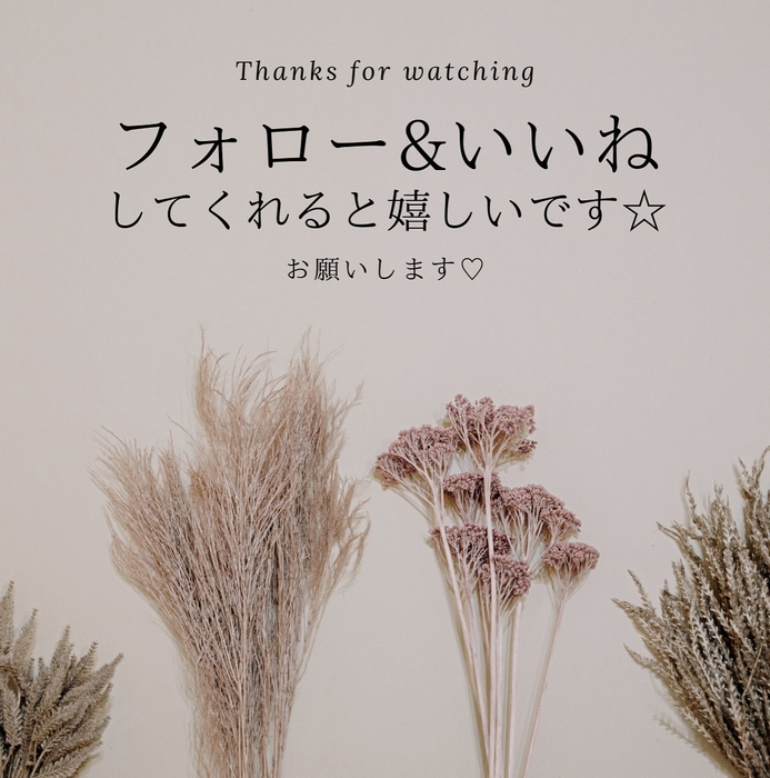 画像2538