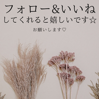 画像3437