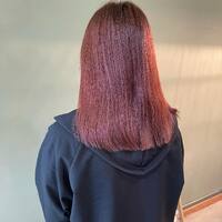 画像530
